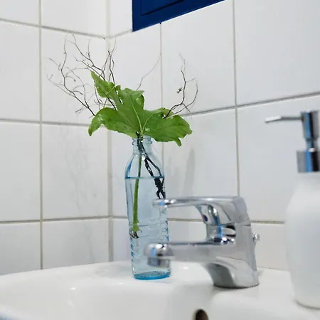 Zwei In Atelierwohnung Homestay